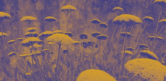 Time for Women! Empowering Visions in 20 Years of the Max Mara Art Prize for Women La mostra che celebra il ventennale del Max Mara Art Prize for Women. Fino al 31 agosto a Firenze a Palazzo Strozzi