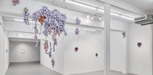 L’estetica della post-natura: la rilettura del quotidiano di Luca Staccioli da ArtNoble