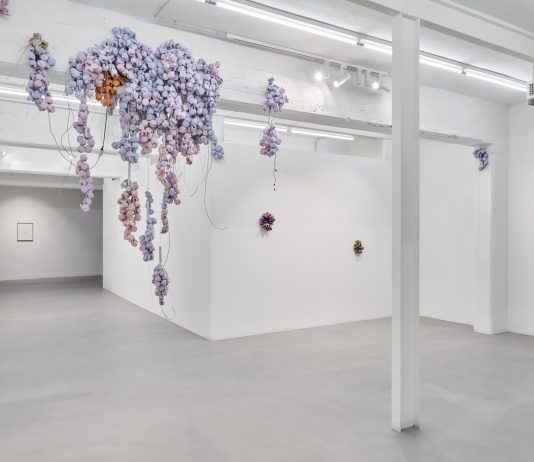 L’estetica della post-natura: la rilettura del quotidiano di Luca Staccioli da ArtNoble