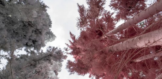 Lezioni per una rappresentazione di paesaggio: le installazioni di Salvatore Emblema Salvatore Emblema, Dipingere il paesaggio, veduta della mostra, Museo Emblema, Terzigno, Napoli, 2025