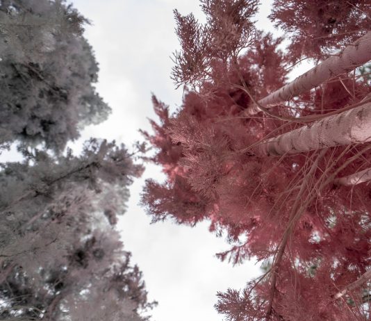 Lezioni per una rappresentazione di paesaggio: le installazioni di Salvatore Emblema Salvatore Emblema, Dipingere il paesaggio, veduta della mostra, Museo Emblema, Terzigno, Napoli, 2025