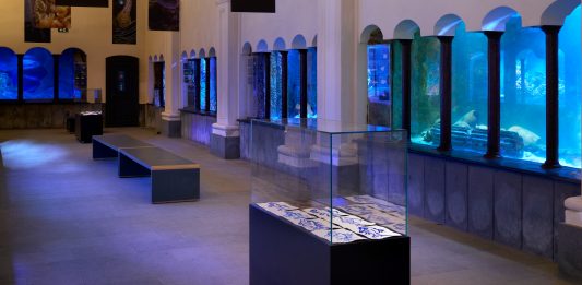 Newyorkers a Napoli: Joan Jonas e Ryan Sullivan da Zweigstelle Captain