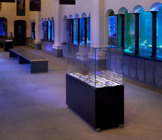 Newyorkers a Napoli: Joan Jonas e Ryan Sullivan da Zweigstelle Captain