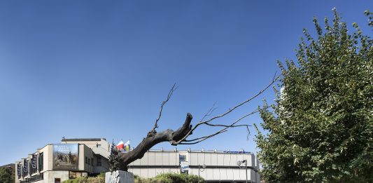GAM di Torino, aperto il concorso per riqualificare e ripensare il museo gam torino concorso