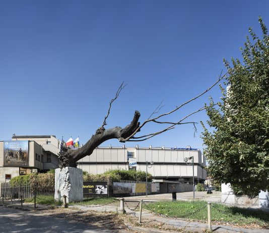 GAM di Torino, aperto il concorso per riqualificare e ripensare il museo gam torino concorso