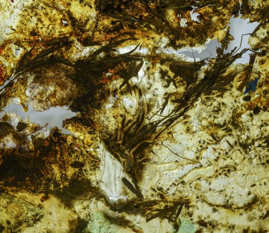 Giulia Cauti, il sapere come rito femminile: la mostra allo Spazio Iris