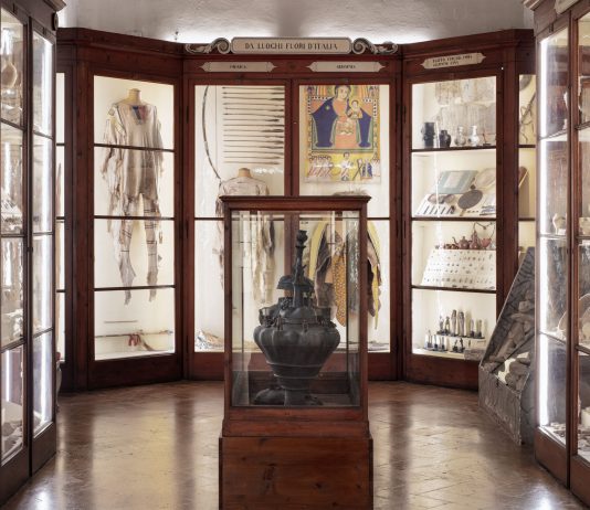 Acacia. L’intervento artistico di Marco Maria Zanin presso il Palazzo dei Musei a Reggio Emilia