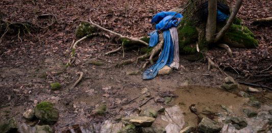 MOBS: a Genova la mostra che si interroga sul rapporto tra migrazione e narrazione mediatica