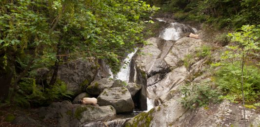 Ecologie dell’ascolto: performance tra suono e paesaggio, a Cagliari e dintorni