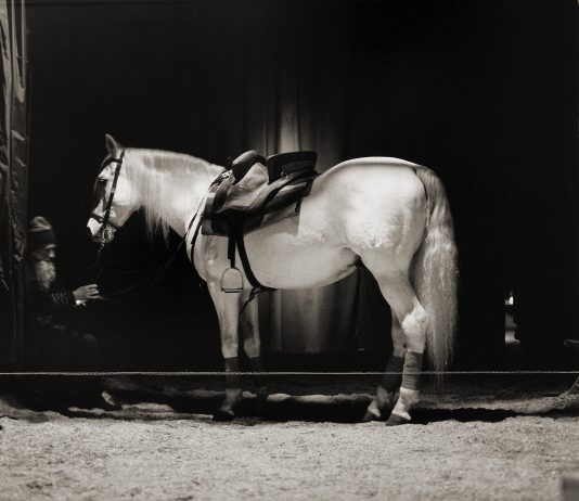 Alessandro Valeri e Salvador Dalì, il circo come soglia: la mostra a Modena