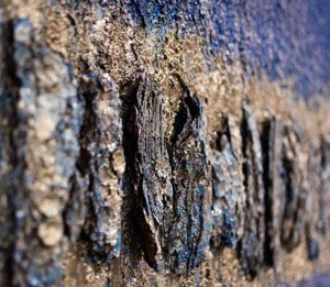 Time spent loving fino al 30 Settembre 2025 una grande mostra collettiva alla SyArt Gallery di Sorrento