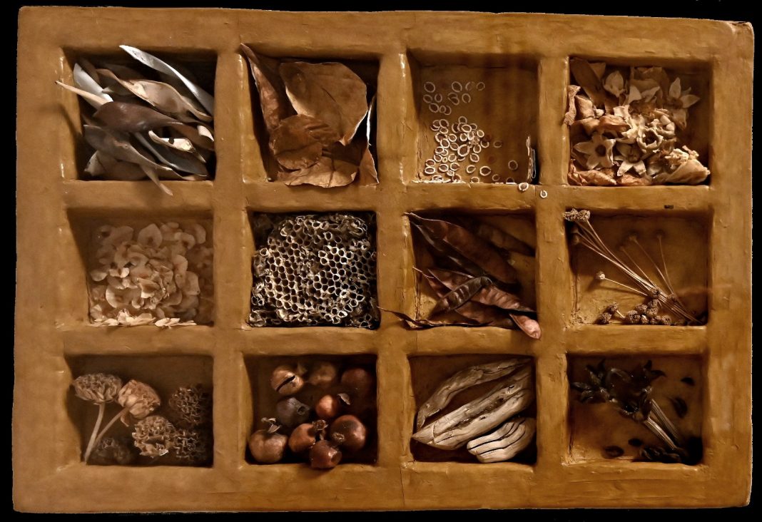 EVARISTO PETROCCHI – TEMPESTA DI BACCELLI DI GLICINEhttps://www.exibart.com/repository/media/2025/05/38269d83-bcfc-4e14-a57d-9c75b0831161-1068x732.jpg