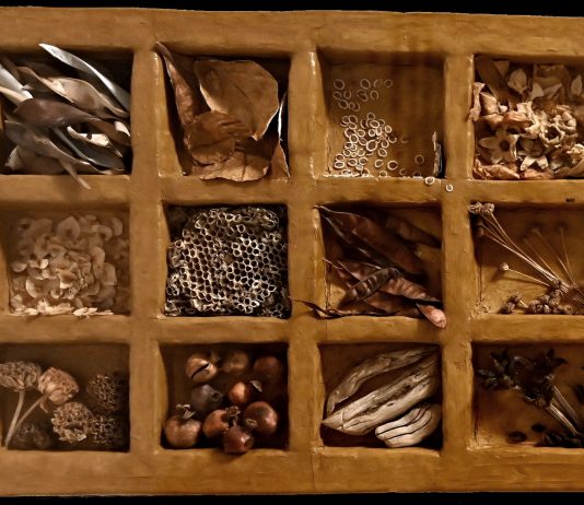 EVARISTO PETROCCHI – TEMPESTA DI BACCELLI DI GLICINE