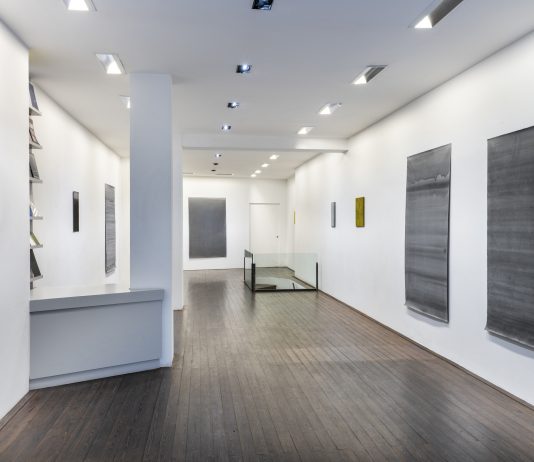 Maree a Firenze: l’intensità e la molteplicità dell’opera di Carlo Guaita