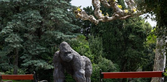 Mario Schifano e Davide Rivalta arrivano al Castello di Miramare