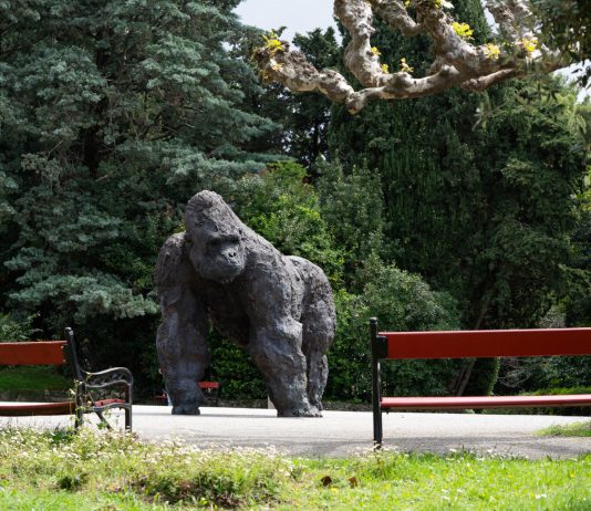 Mario Schifano e Davide Rivalta arrivano al Castello di Miramare