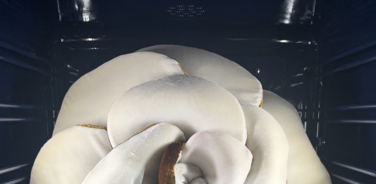 Carla Tolomeo a Firenze per Gaggenau: elogio alla forma della lentezza