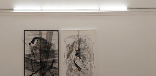 Mostri, metamorfosi e coscienza nell’arte di Magda Di Fraia e Lucia Schettino Ogni cosa creata, veduta della mostra, NAMI Gallery, Napoli, 2025