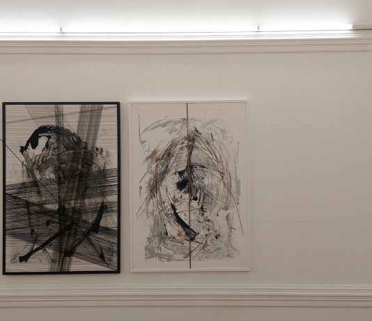 Mostri, metamorfosi e coscienza nell’arte di Magda Di Fraia e Lucia Schettino Ogni cosa creata, veduta della mostra, NAMI Gallery, Napoli, 2025