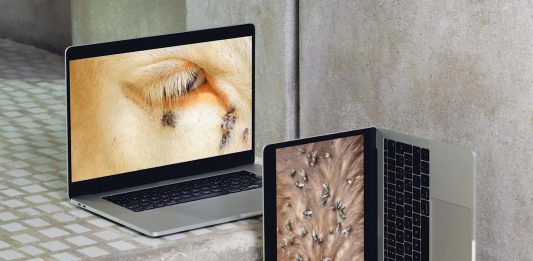 Quando i Formafantasma incontrano Carlo Scarpa: la nuova mostra al Negozio Olivetti di Venezia