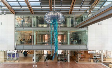 LA MEDUSA l’installazione artistica di Matteo Boato e Sara Metaldi, prende vita dal 17 maggio 2025 all’11 gennaio 2026 al MUSE di Trento