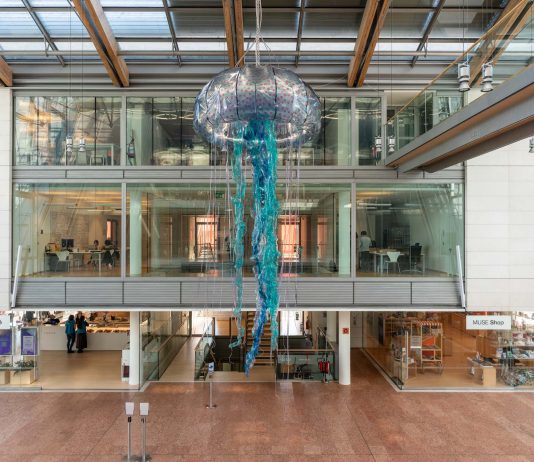 La Medusa di Matteo Boato e Sara Metaldi a Trento