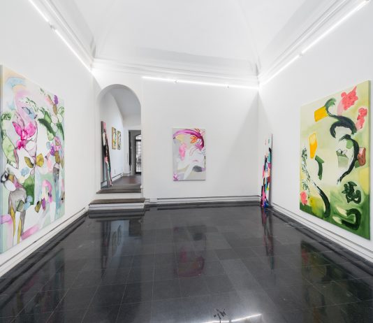 Caterina Silva, l’esperienza viscerale della pittura: la mostra a Roma Caterina Silva, things that will never become objects, veduta della mostra, Galleria Eugenia Delfini, Roma. Foto di Sebastiano Luciano. Courtesy Galleria Eugenia Delfini