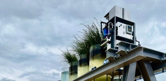 Biennale Architettura 2025: ecco a chi sono andati i Leoni d’Oro e le menzioni speciali