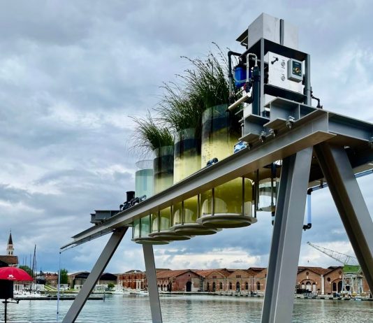 Biennale Architettura 2025: ecco a chi sono andati i Leoni d’Oro e le menzioni speciali