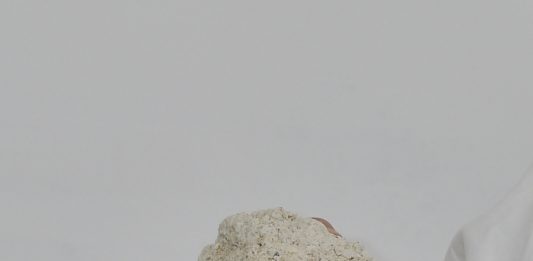 Al Festival Corpo.Doc la performance è un linguaggio di rottura