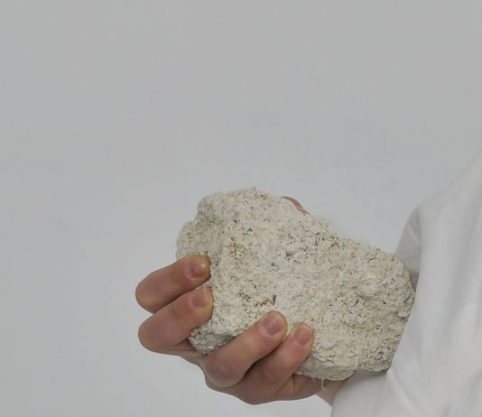 Al Festival Corpo.Doc la performance è un linguaggio di rottura