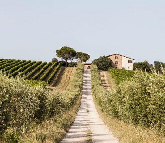 Premio Cramum 2025: i finalisti in lizza per un’installazione in Umbria