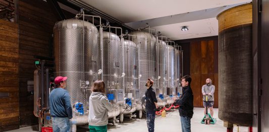 Arte tra le vigne: quattro artisti in residenza alla Tenuta Bonotto