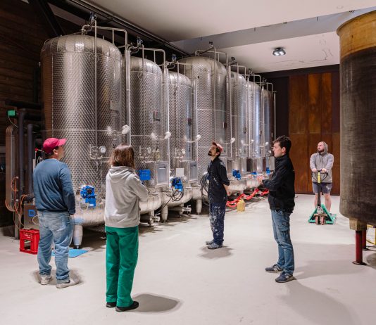 Arte tra le vigne: quattro artisti in residenza alla Tenuta Bonotto