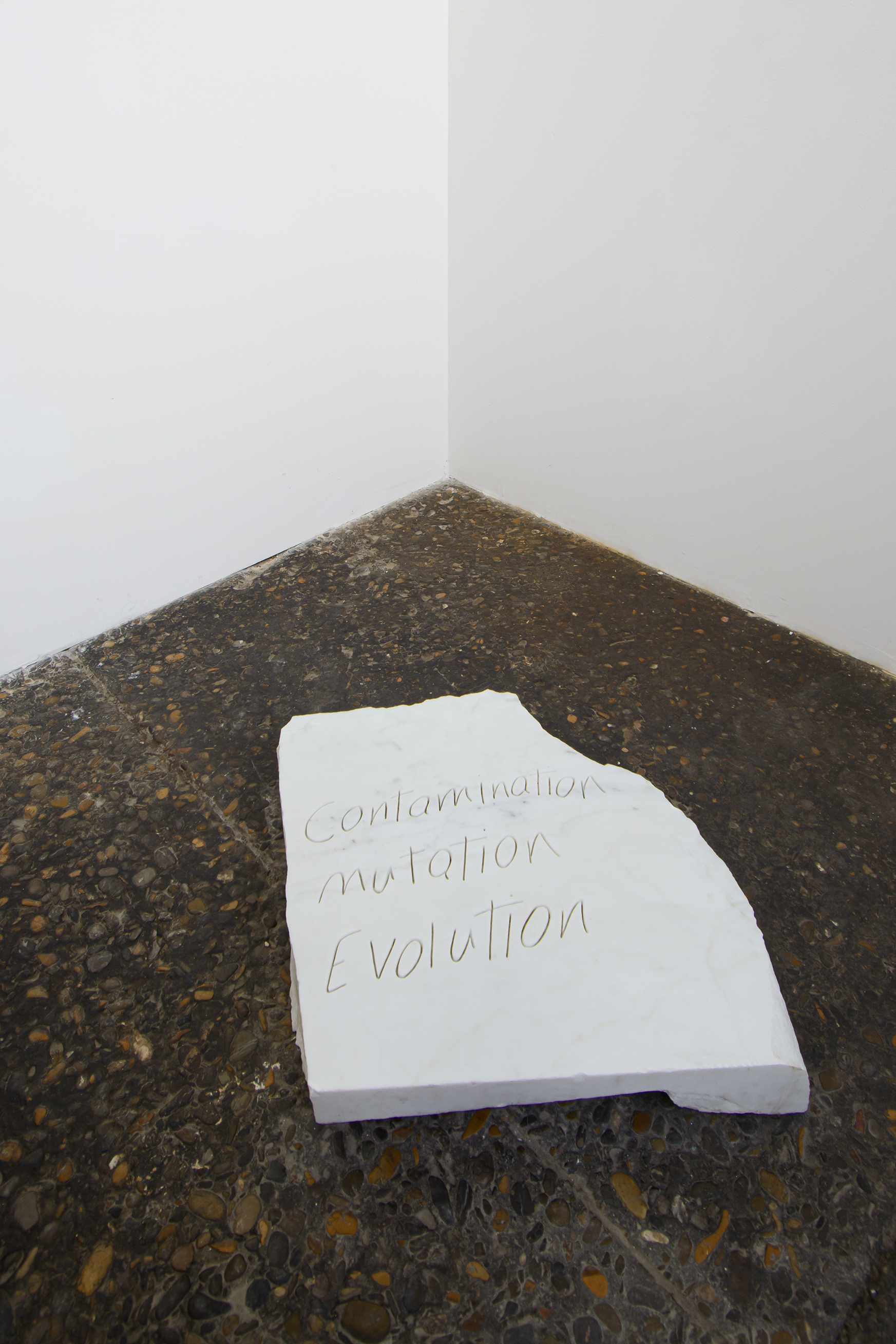 Mohsen Baghernejad Moghanjooghi, contamination mutation evolution, 2025 (Courtesy l’artista e ME Vannucci, Pistoia - Photo credit Erika Pellicci)