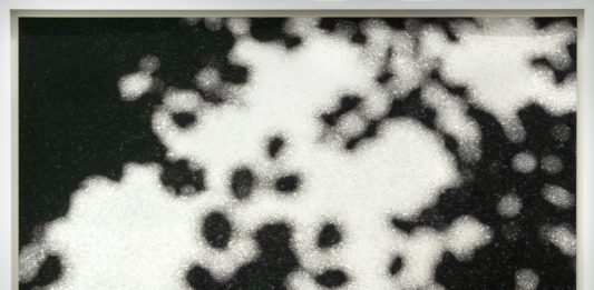 Le fotografie di Paola De Pietri sono appunti sulla transitorietà