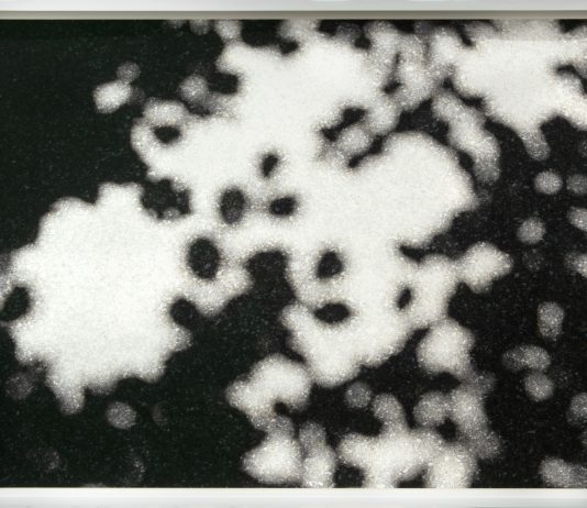 Le fotografie di Paola De Pietri sono appunti sulla transitorietà