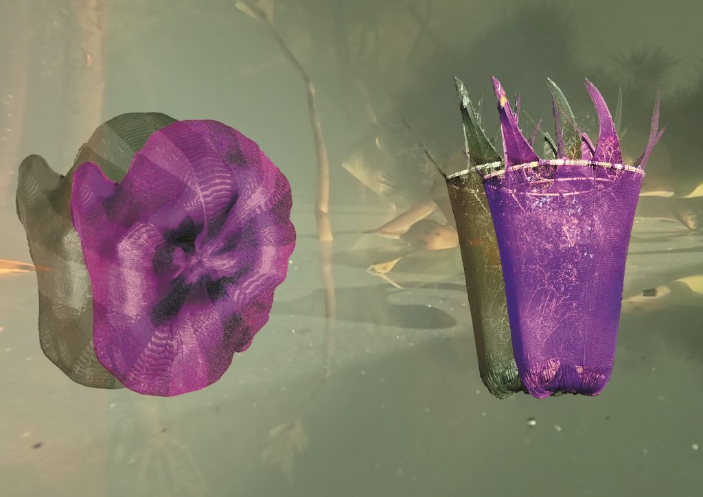 Earthly Communities Kunst Meran