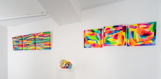 Alice Voglino espone alla Fondazione Cingoli di Roseto degli Abruzzi Alice Voglino - cosa non vedi di me-esposizione