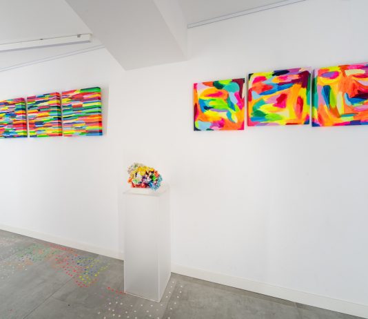 Alice Voglino espone alla Fondazione Cingoli di Roseto degli Abruzzi Alice Voglino - cosa non vedi di me-esposizione