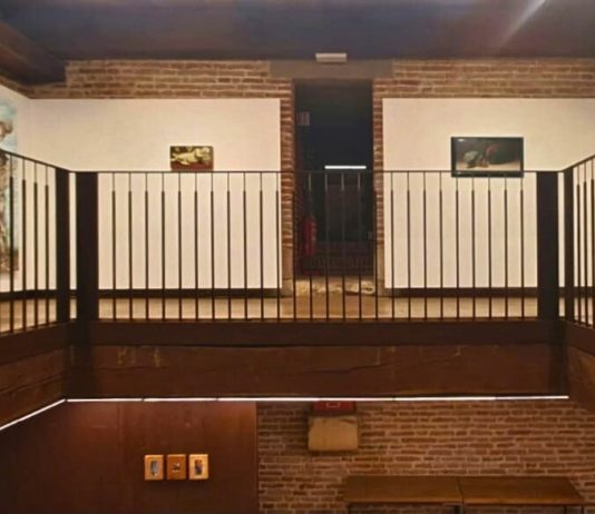 ‘E di salire al ciel diventa degno’. A Vicenza un percorso ascensionale che celebra la nuova ‘Scuola di Venezia’