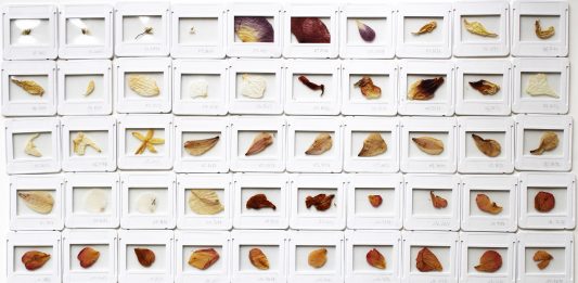 I giovanissimi finalisti del Premio Arte Acqua dell’Elba 2025 in mostra