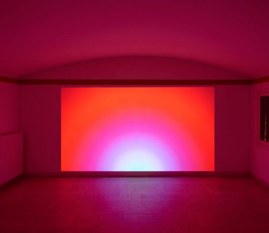 Slow Manifesto: il desiderio sotto pressione alla Galleria A plus A di Venezia