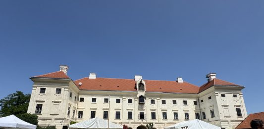 Gli ultimi giorni di “eccesso” di Hermann Nitsch: la performance a Prinzendorf giorni Nitsch performance