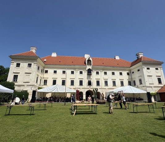 Gli ultimi giorni di “eccesso” di Hermann Nitsch: la performance a Prinzendorf giorni Nitsch performance