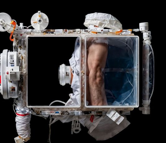 Kevin Abosch: l’arte generativa entra a Palazzo Citterio di Milano kevin abosch