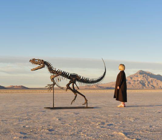 Sotheby’s mette all’asta un giovane Ceratosauro