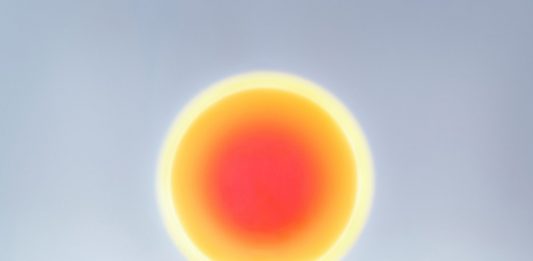 Florence Biennale 2025: gli ospiti e i progetti speciali della XV edizione