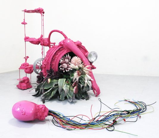 Other Identity #169, altre forme di identità culturali e pubbliche: Clarissa Falco