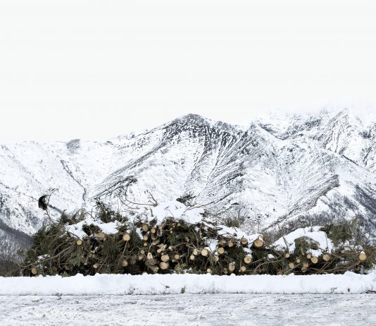 Oltre il reportage: Francesco Jodice racconta l’anima dell’Oasi Zegna attraverso una rilettura poetica dei luoghi